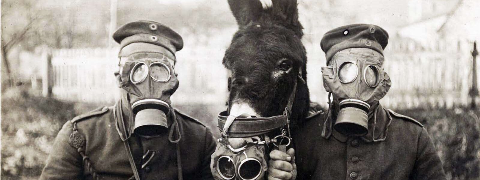 Zwei deutsche Soldaten und ihr Maultier mit Gasmasken, 1916